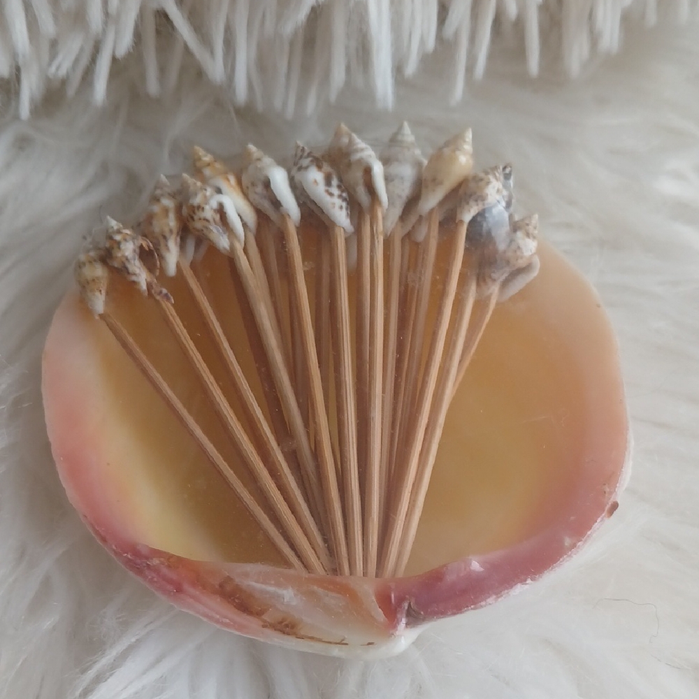 Handmade Decorative Seashell Toothpicks And Holder